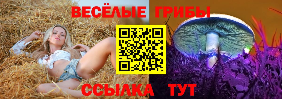 Псилоцибиновые грибы мицелий Городец