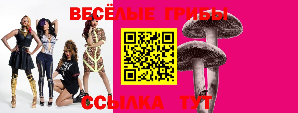Городец  Галлюциногенные грибы ЛСД  Галлюциногенные грибы Magic Shrooms  Вход с VPN 